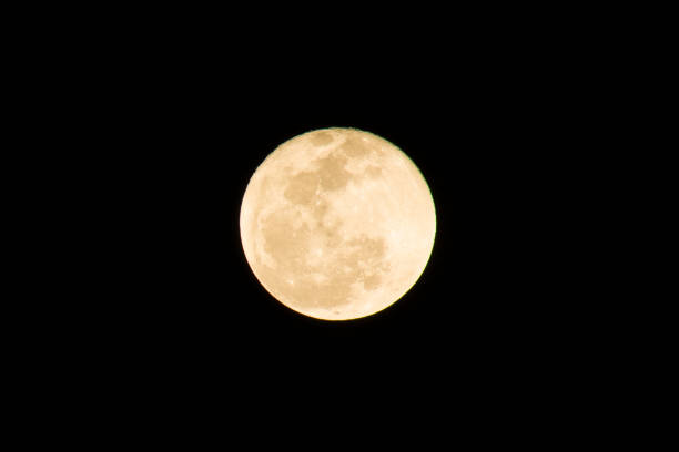 Full moon on the dark night. Moon is an astronomical body that orbits planet Earth and is Earth's only permanent natural satellite