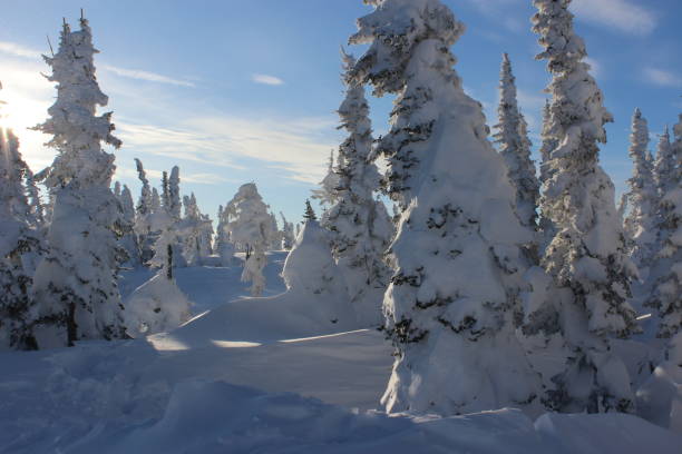 istock Beautiful winter landscape with snow covered trees. 1090325614