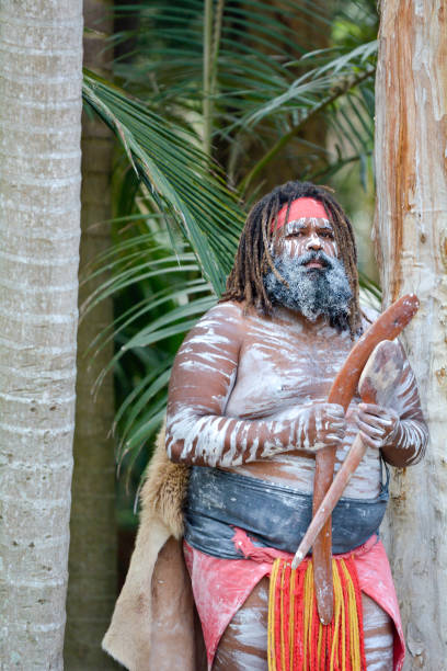 indígena australiano adulto segurando boomerangs - australia boomerang aboriginal aborigine - fotografias e filmes do acervo