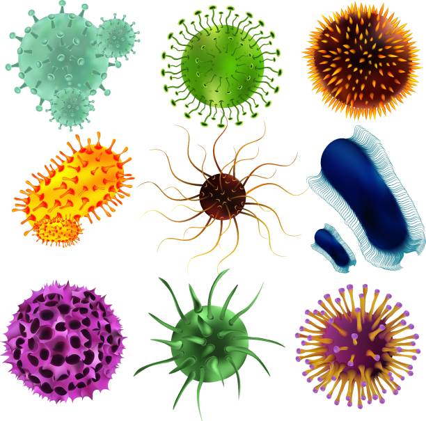 ilustraciones, imágenes clip art, dibujos animados e iconos de stock de conjunto de virus y bacterias aisladas sobre un fondo de blom. los virus y las bacterias bajo el microscopio. un agente infeccioso celular no iniciado que puede multiplicarse solamente en otras células - blom