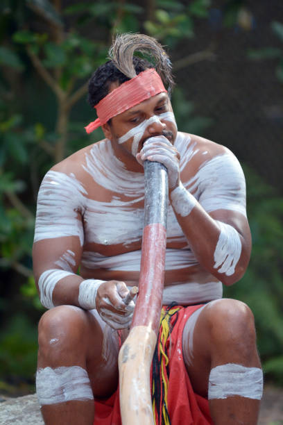 indigenen australischen mann aborigines musizieren am didgeridoo instrument - australia boomerang aboriginal aborigine stock-fotos und bilder