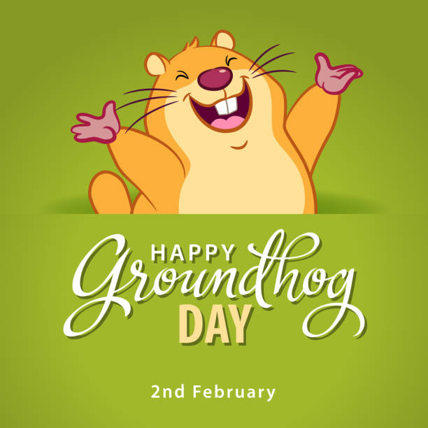 It's Groundhog Day Marmot coming out of burrow, raising hand and welcoming spring on the green background groundhog day stock illustrations