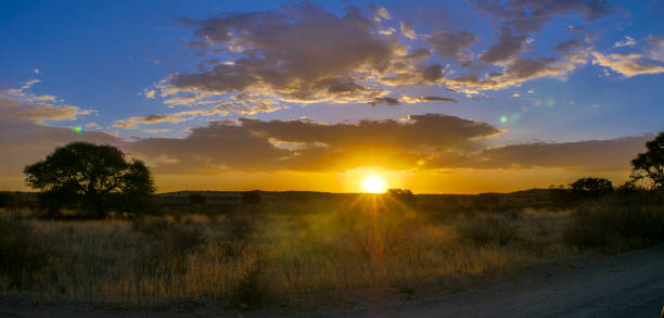 istock Kalahari sunset panorama 1090342358