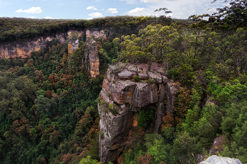 Southern Highlands cliff top views near Fitzroy Falls\