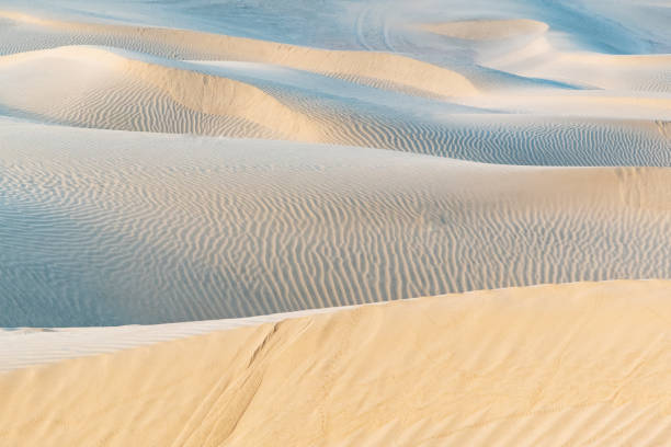 istock Beautiful sand dune in Thar desert. 1090349364