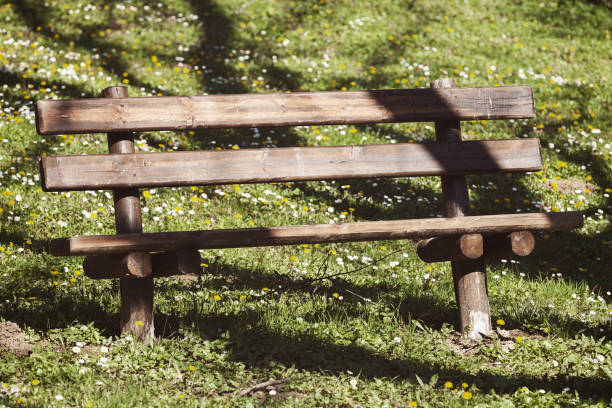 istock wooden bench in a meadow 1090351206
