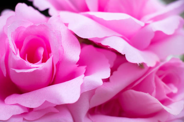 istock Closed up of artificial pink rose that made from fabric 1090357438