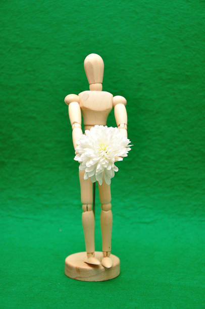 A wooden mannequin display with a white aster