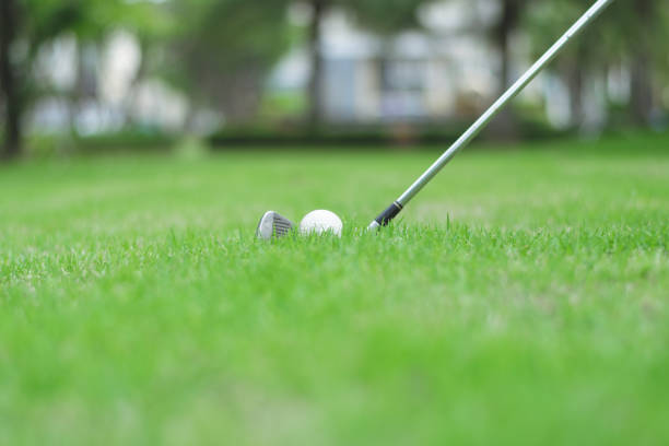 istock golf ball on green grass in golf course. 1090376284