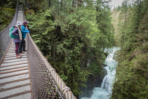 istock Multi-Ethnic Father and Daughter Viewing Canyon Waterfall from Suspension Bridge 1090380108