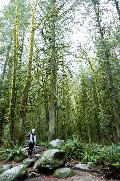 istock Forest Bathing, Solo Multi-Ethnic Young Woman Hiking in Winter Forest 1090380308