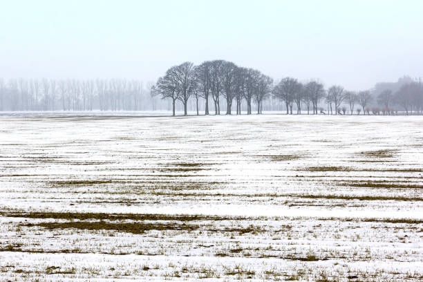 Empty landscape in winter. Was seen in Sweden.