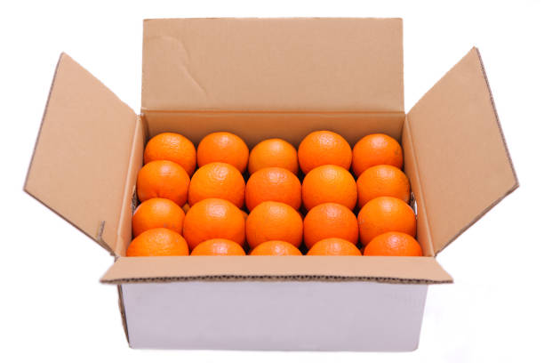 istock orange fruit citrus tankan in a carton box 1090391938