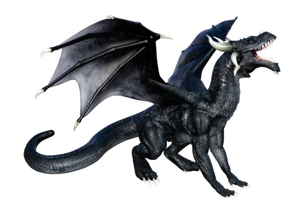 istock 3D illustration black fantasy dragon isolated on white 1090395564