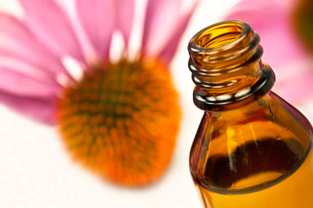 istock Echinacea blossoms and  medicine 1090400686