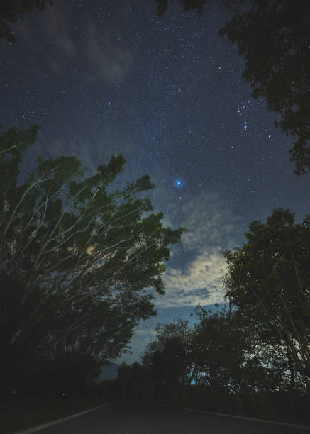 istock Night sky in Taiwan's rice basin 1090410780