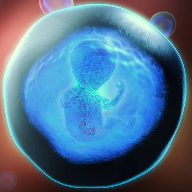 istock 3d illustration of an genetically modified embryo trapped in a blue transparent bubble 1090413848