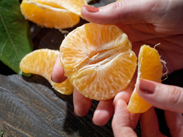 istock Tangerines in female hands 1090418760