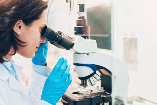 Female doctor looking through a microscope Laboratory technician looking through a microscope in vitro fertilization photos stock pictures, royalty-free photos & images