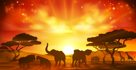 An African safari animal savannah silhouette sunset background landscape scene