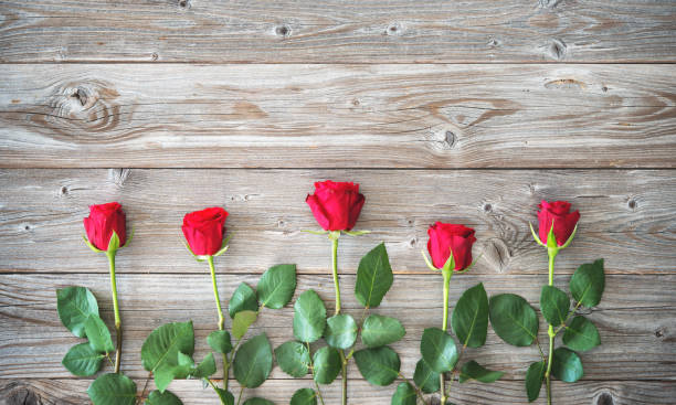 istock Roses on wooden board. 1090425396