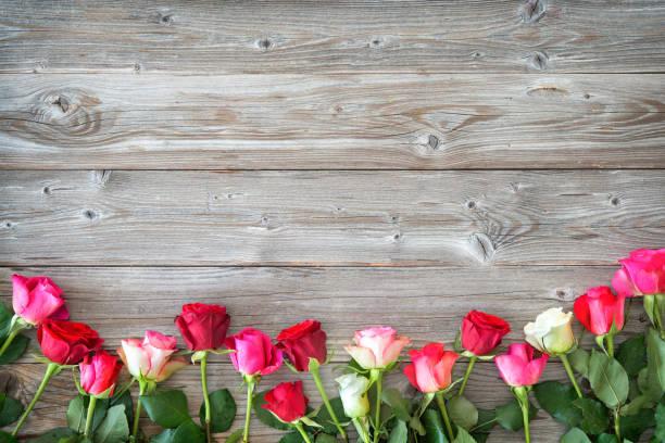 istock Roses on wooden board. 1090425408