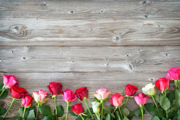 Photo of Roses on wooden board.