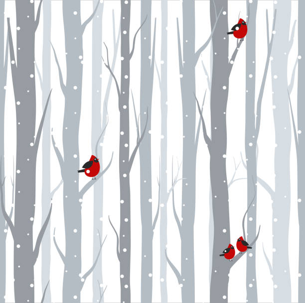 ilustraciones, imágenes clip art, dibujos animados e iconos de stock de vector ilustración de patrones sin fisuras con abedules de árboles grises y rojo aves en época de invierno con nieve en estilo de dibujos animados plana. - holiday card