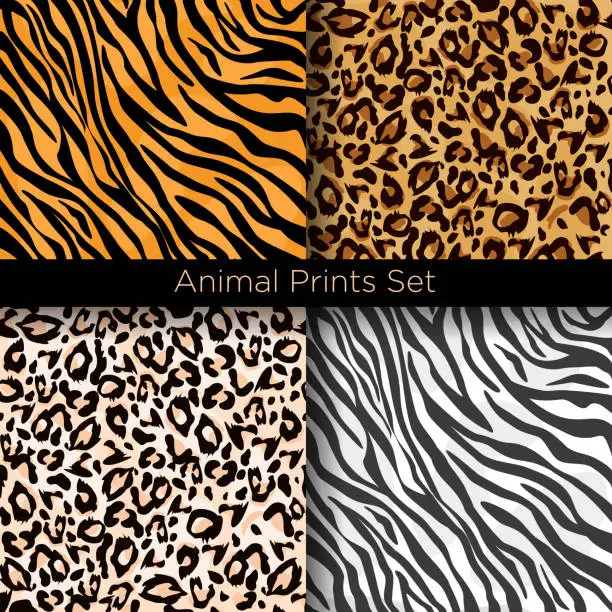 Vector illustration of Vector illustration set of four different seamless animal patterns. Safari textile concept. Tiger, zebra, leopard and jaguar skin seamless patterns in flat style for your design.