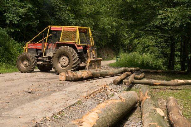 istock Tractor pushes wood in storage 1090430624