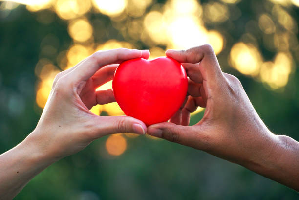istock Couple 's hands touch red heart 1090440648