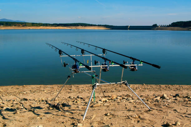 istock Fishing rods with reels on a support system rod pod. 1090445726
