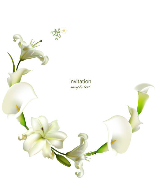 istock White flowers. Floral background. Calla. Lilies. Green leaves. 1090445880