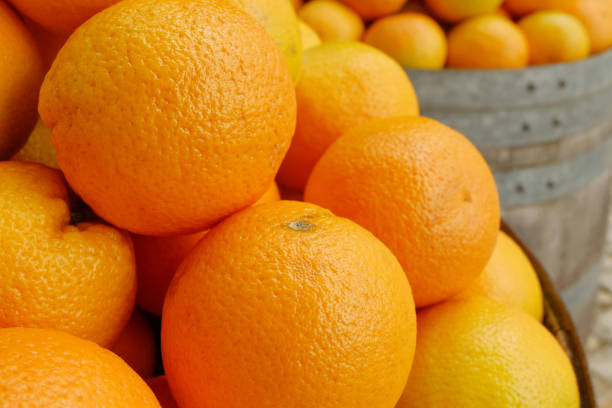 istock Fresh oranges on farmers market - citrus fruit 1090454634