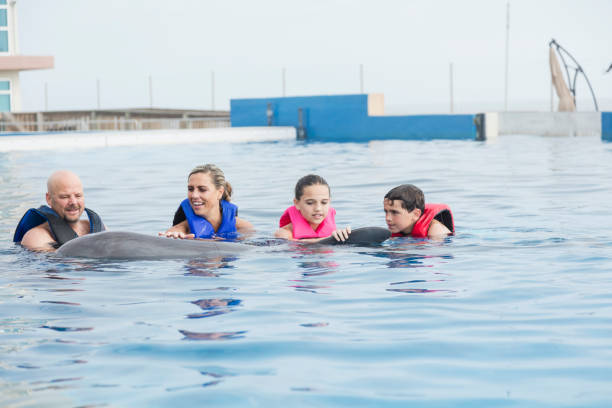 istock Family interacting with dolphin at marine park 1090455234