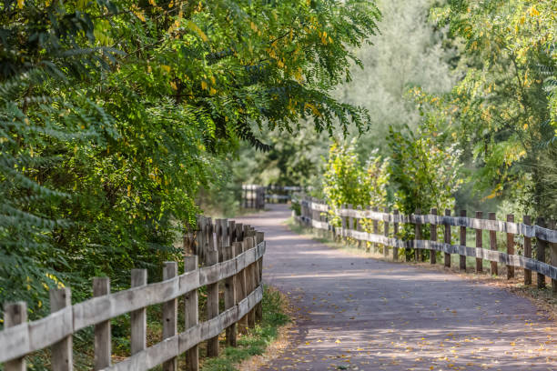 Pedestrian and cycle eco path, asphalt pavement, background and vegetation, in Viseu, Portugal