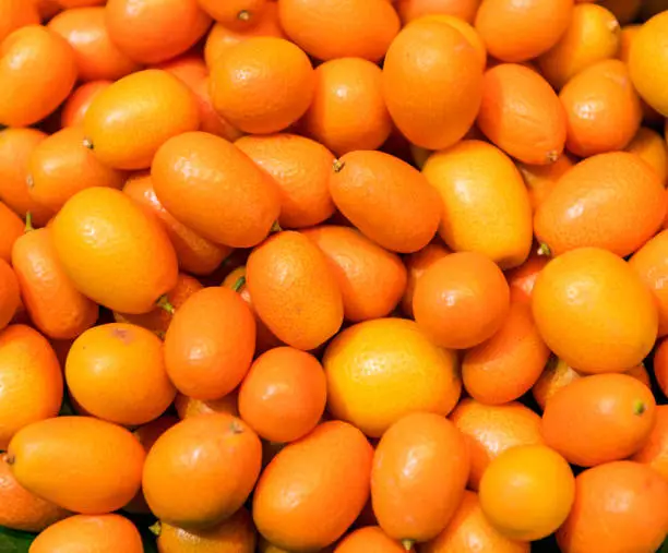 Photo of Appetizing Tropical Kumquat Fruit in La Boqueria Market; Barcelona, Spain