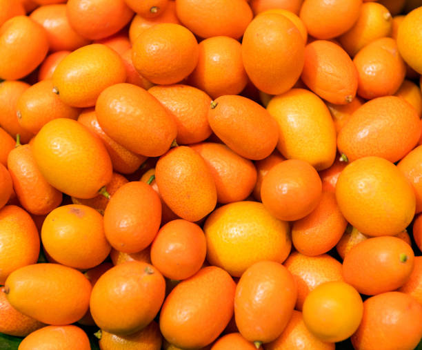 appetizing tropical kumquat fruit in la boqueria market; barcelona, spain - kumquat imagens e fotografias de stock