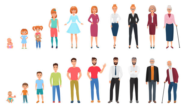 ilustraciones, imágenes clip art, dibujos animados e iconos de stock de ciclos de vida del hombre y la mujer. generaciones de personas. ilustración de vector de concepto de crecimiento humano. - multi generation family