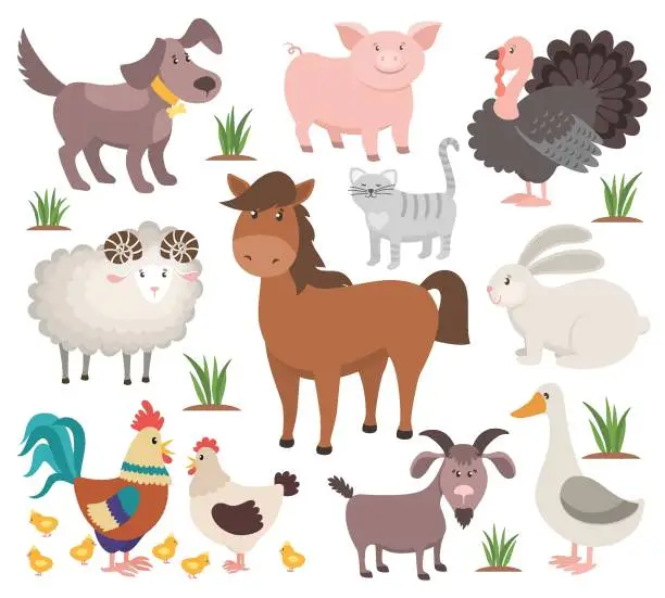 Vector illustration of Cartoon farm animals. Turkey cat ram goat chicken rabbit horse. Village animal collection