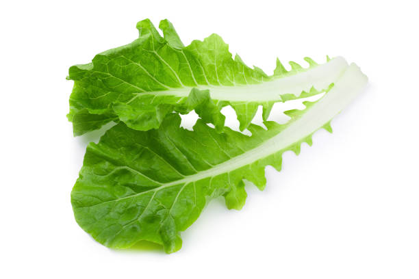 istock Lettuce leaves isolated on a white background 1090464842