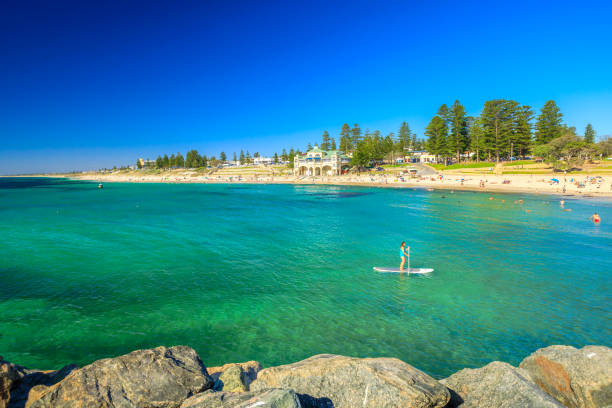 Sup Surf at Cottesloe Beach Cottesloe, Western Australia - Jan 2, 2018: woman practices Sup Surf on calm waters of Cottesloe Beach, Perth's most famous town beach in Indian Ocean. Popular summer holidays destination in Australia cottesloe stock pictures, royalty-free photos & images