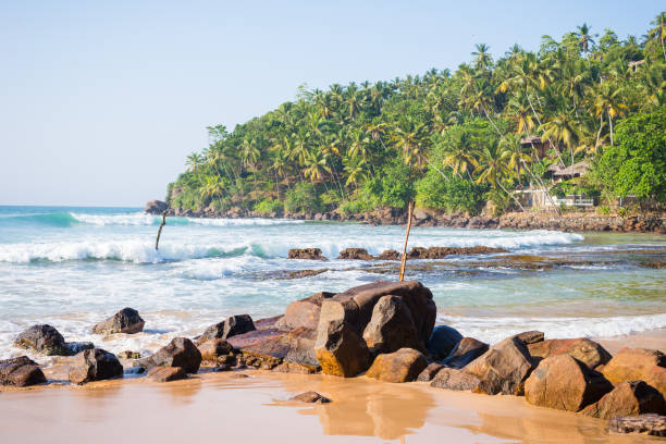 istock Tropical beach in Mirissa, Sri lanka. 1090466130