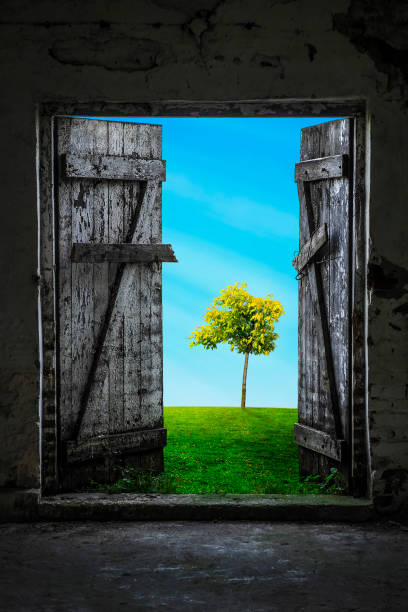 istock Door to Freedom 1090468108