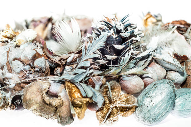 istock Christmas wreaths 1090472514