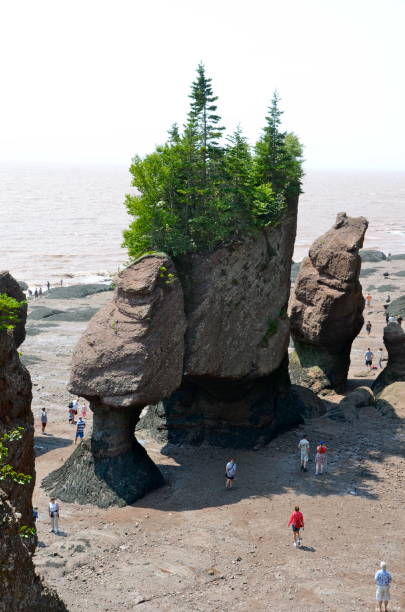 istock Beautiful rock formations Hopewell Rocks 1090474072