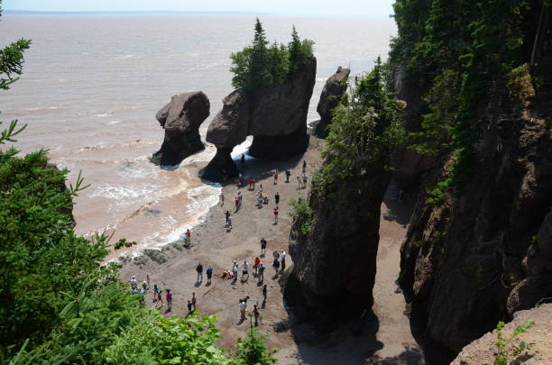 istock Beautiful rock formations Hopewell Rocks 1090474332