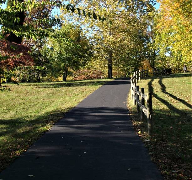 istock Lengthening Shadows Cross The Walking Trail on An Autumn Afternoon 1090477458