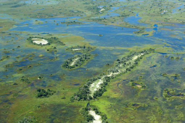 istock Flying over the Okavango delta in Botswana 1090477514