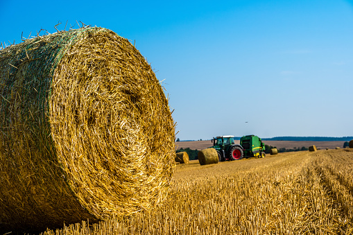 Harvest time straw bales